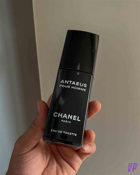 chanel antaeus macy's